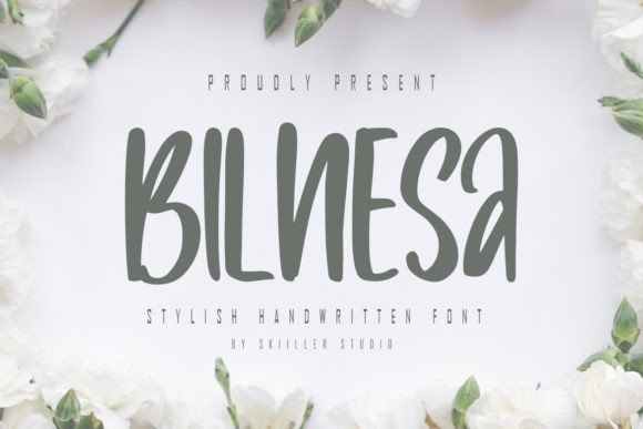 Bilnesa: A Bold Display Font for Modern Branding