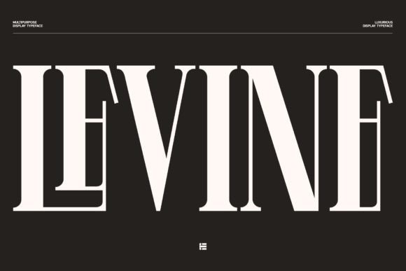 Levine: The Display Font That Elevates Campaign Design