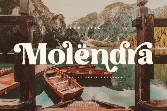 Molendra: The Classy Display Serif for Modern Web Design